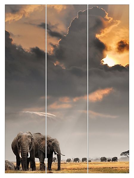 Bilderdepot24 Schiebegardine modern Flächenvorhang blickdicht Elefanten günstig online kaufen