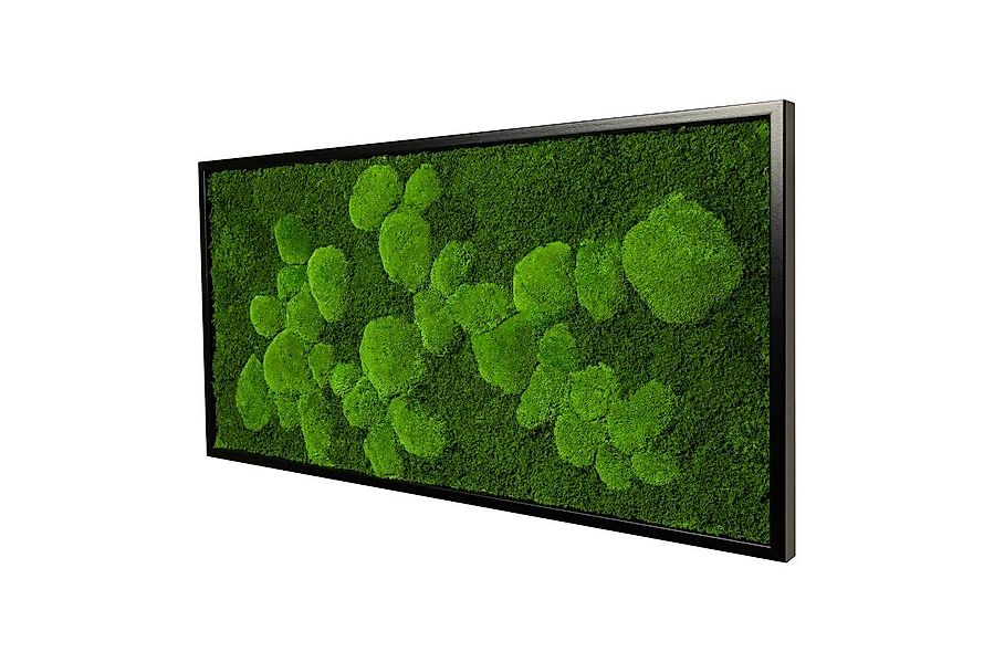 Moos-Design Bild Moosbild Fifty Fifty Design günstig online kaufen