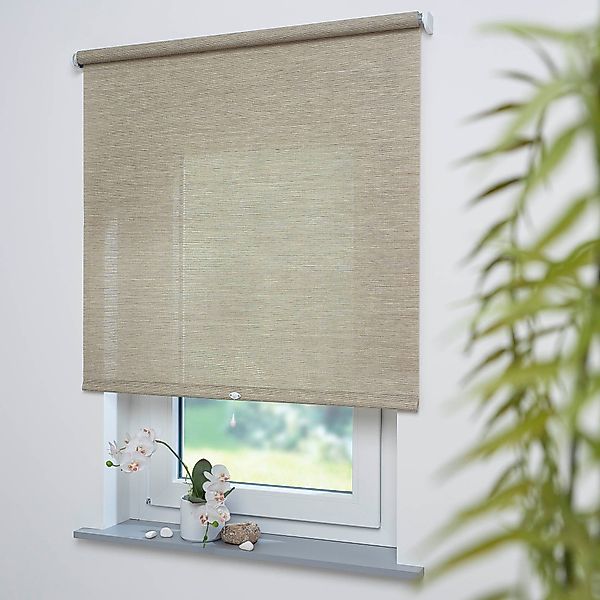 Springrollo Springrollo, mit Dekor, lichtdurchlässig, Struktur günstig online kaufen