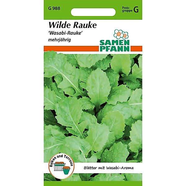 SAMEN PFANN Wilde Rauke Wasabi günstig online kaufen
