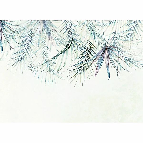 Komar Vliestapete Palm Spring  350 x 250 cm günstig online kaufen