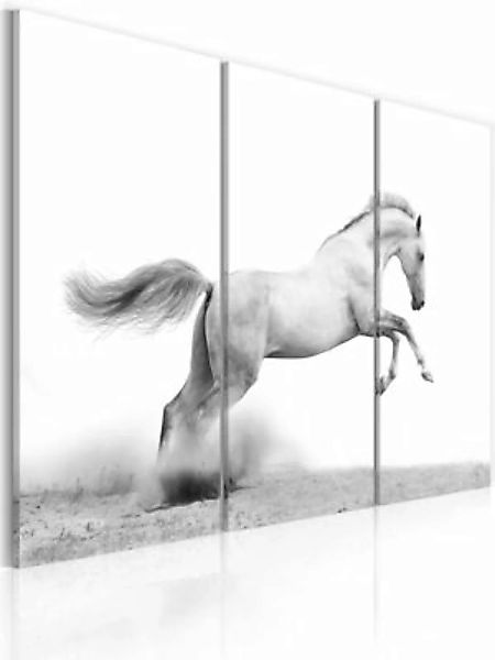 artgeist Wandbild Galoppierendes Pferd schwarz/weiß Gr. 60 x 40 günstig online kaufen