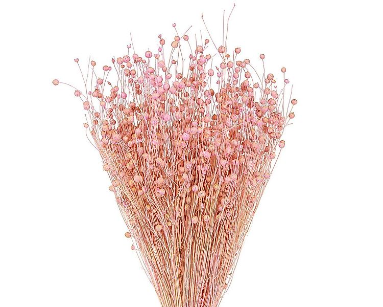 Trockenblume Trockengras Flachs Deko Blumenarrangement Tischdekoration, Via günstig online kaufen