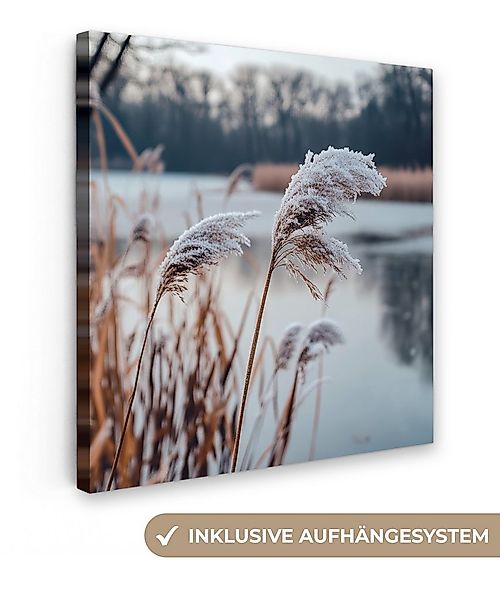 OneMillionCanvasses® Leinwandbild Schilf - Gras - Natur - Winter - See, Fot günstig online kaufen