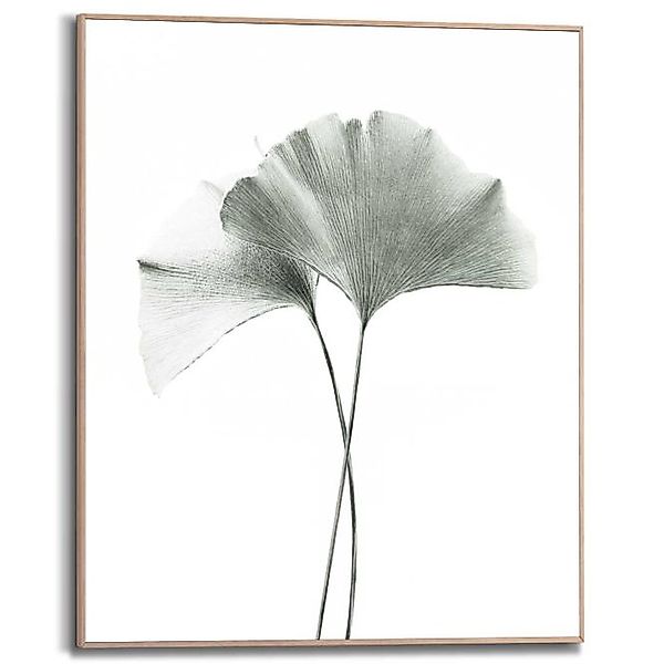 Wandbild GINKGO Slim Frame Wood ca. 40x50 cm SMF86321 günstig online kaufen