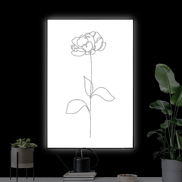 LED-Wechselbild Line Art Blumen - Pfingstrose günstig online kaufen