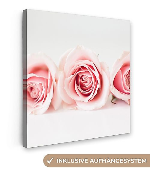 OneMillionCanvasses® Leinwandbild Studioaufnahme von drei rosa günstig online kaufen
