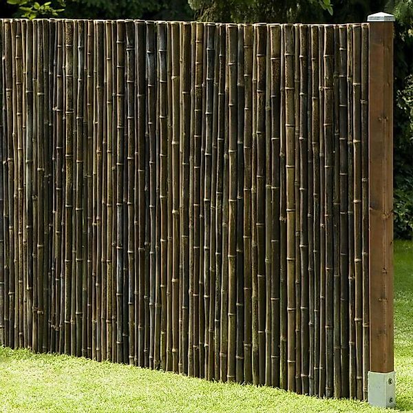 NOOR Sichtschutzzaunmatten Bambusmatte DELUXE - extra günstig online kaufen