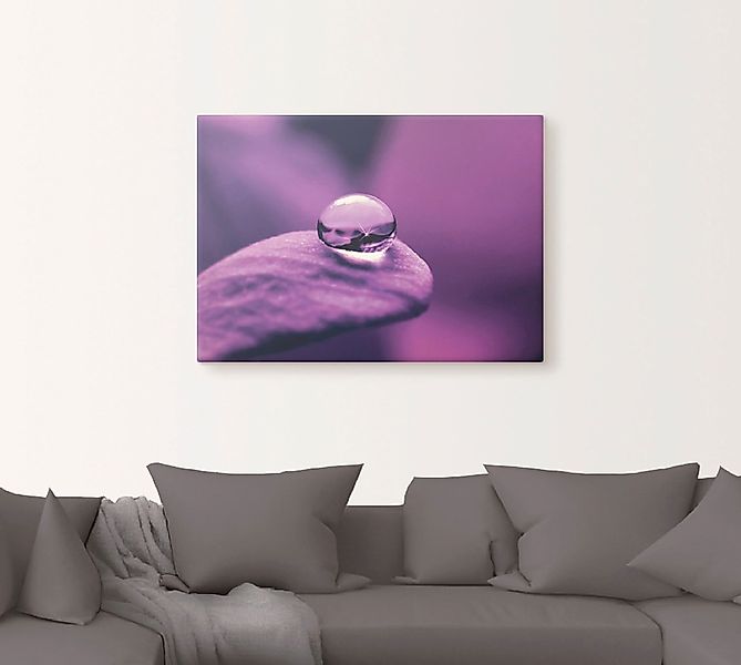 Artland Wandbild »Amethyst«, Blumen, (1 St.), als Leinwandbild, Poster, Wan günstig online kaufen