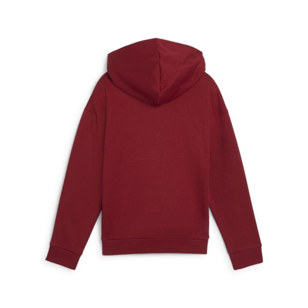 PUMA Kapuzensweatshirt ESS+ SCRIPT METALLIC HOODIE günstig online kaufen