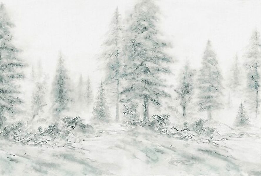Architects Paper Fototapete »Atelier 47 Aquarel Forest 2« Wald glatt Vlies, günstig online kaufen
