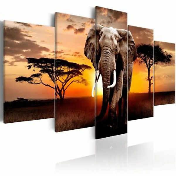 artgeist Wandbild Elephant Migration mehrfarbig Gr. 200 x 100 günstig online kaufen