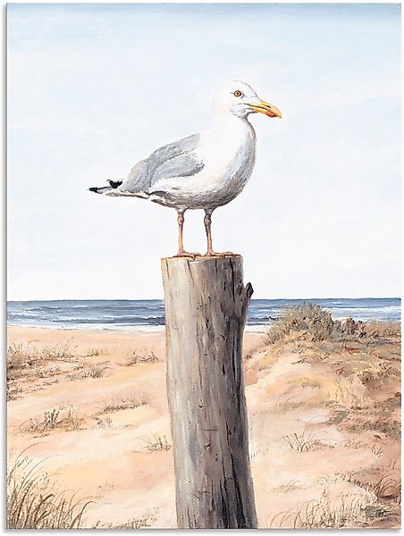 Artland Wandbild »Möwe« Vögel 1 Stk. tlg. als Alubild, Outdoorbild, Leinwan günstig online kaufen
