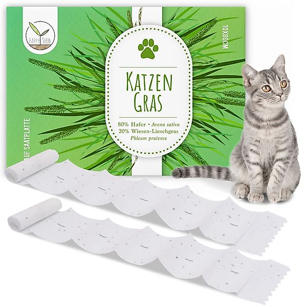 HappySeed Blumensamen Katzengras Samen Saatband 80 günstig online kaufen
