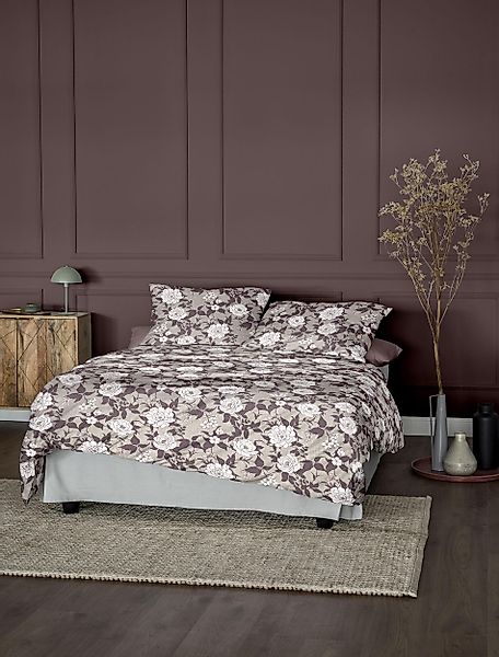 Irisette Bettwäsche Koala 8531, Feinbiber, 2 günstig online kaufen