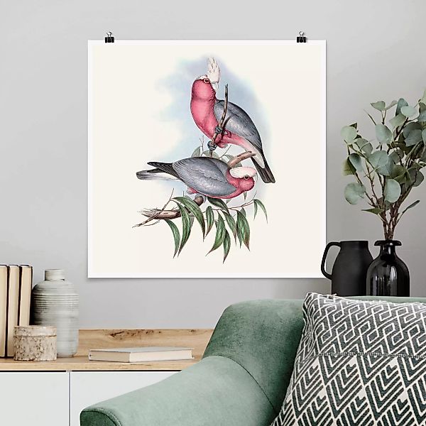 Poster Tiere - Quadrat Pastell Papageien II günstig online kaufen