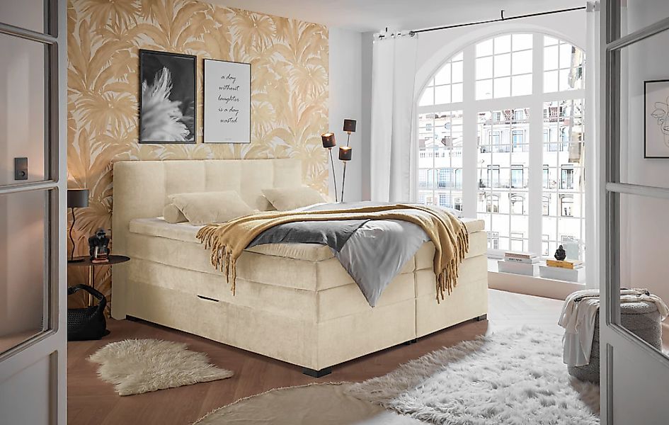 ED EXCITING DESIGN Boxspringbett "Fanes mit Komforteinstiegshöhe von 73cm" günstig online kaufen