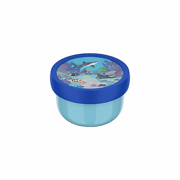 Mepal Lunchbox "Fruchtbox Campus 300 ml" 1 Stk. tlg. günstig online kaufen