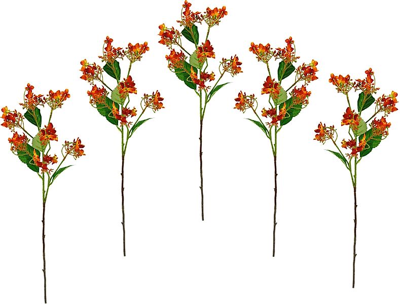 Kunstblume Blütenzweig, I.GE.A., Höhe 60 cm, günstig online kaufen