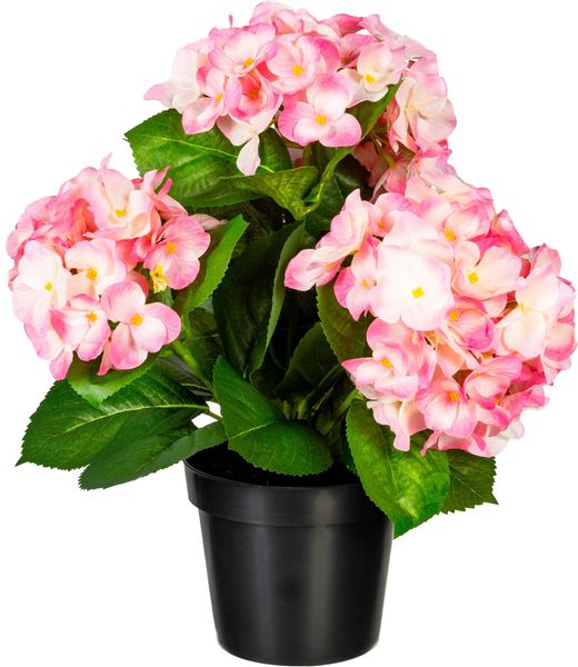 Kunstpflanze Hortensienbusch Hortensie, Creativ green, Höhe günstig online kaufen