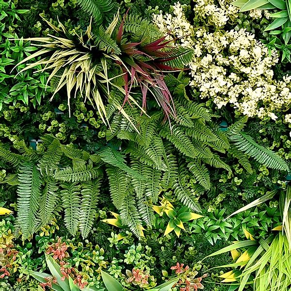 Primaflor-Ideen in Textil Kunstpflanze »Kunstpflanze Pflanzenwand 100x100« günstig online kaufen