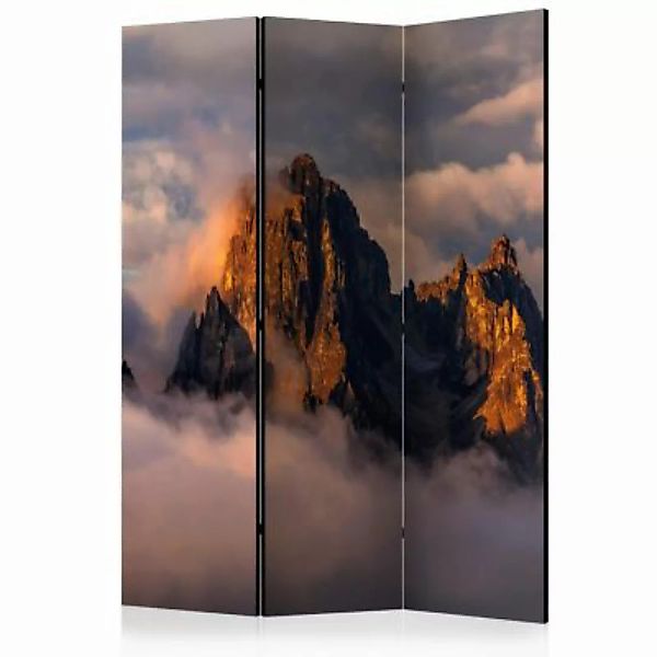 artgeist Paravent Arcana of Clouds [Room Dividers] mehrfarbig Gr. 135 x 172 günstig online kaufen