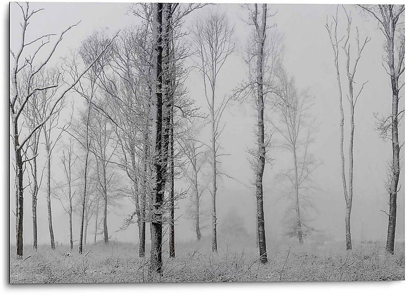 Reinders Wandbild "Aluminium Wandbild Still Natur - Schwarz-Weiss - Wald - günstig online kaufen