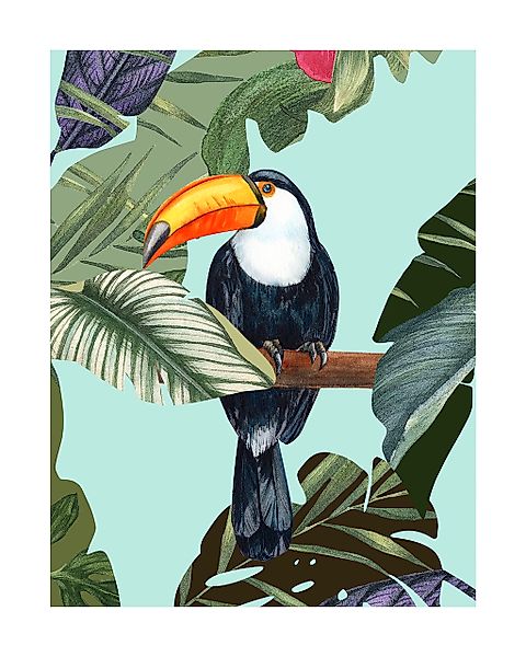 Komar Bild "Toco Toucan" Natur 1 Stk. tlg. Wandbild zur Dekoration - ohne R günstig online kaufen
