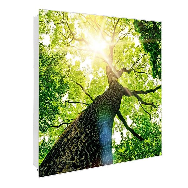 Banjado Großer Schlüsselkasten Glas 30x30cm Weiß Scharnier Links 50 Haken B günstig online kaufen