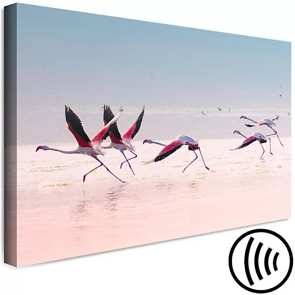 Wandbild Flamingos Race (1 Part) Wide XXL günstig online kaufen
