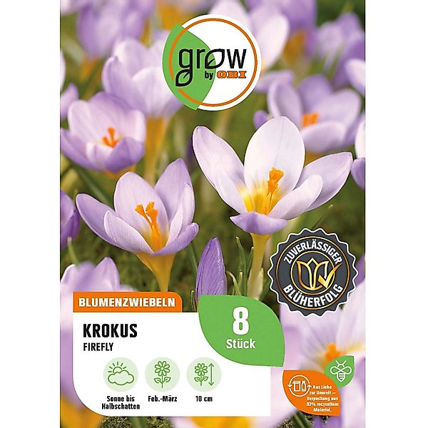 GROW by OBI Krokus Firefly Blau-Rosa 8 Stück Crocus sieberi Firefly günstig online kaufen