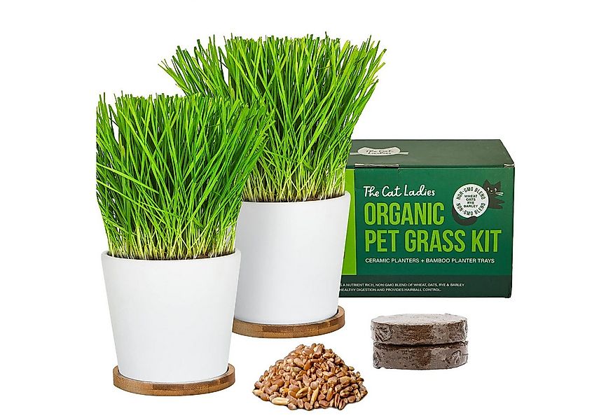 The Cat Ladies Pflanzkübel Saatgut und Erde - Für Katzen, Hunde und andere günstig online kaufen