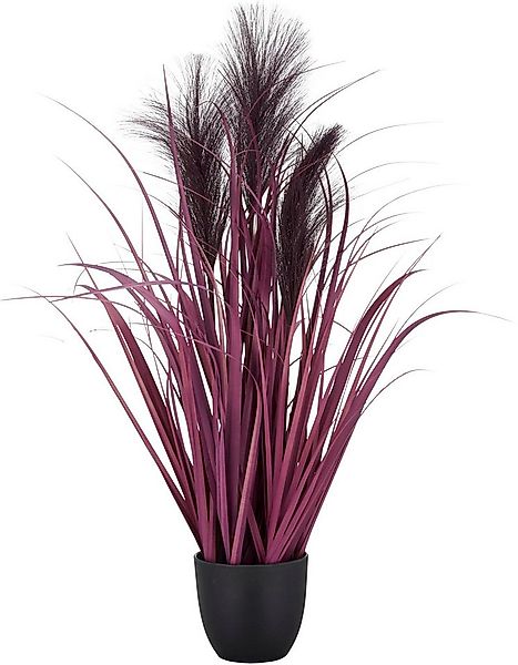 Kunstgras Pampasgras, Creativ green, Höhe 63 cm, in außergewöhnlicher Farbe günstig online kaufen
