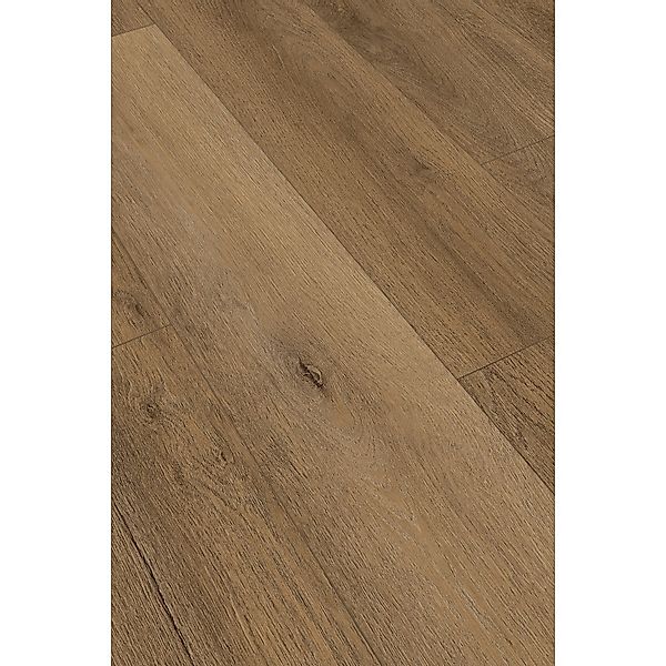 Klebe-Vinylboden World of Dryback Salt Lake City Oak Breitdiele City günstig online kaufen