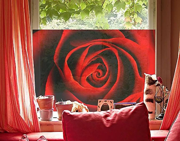 Fensterfolie Liebliche Rose günstig online kaufen