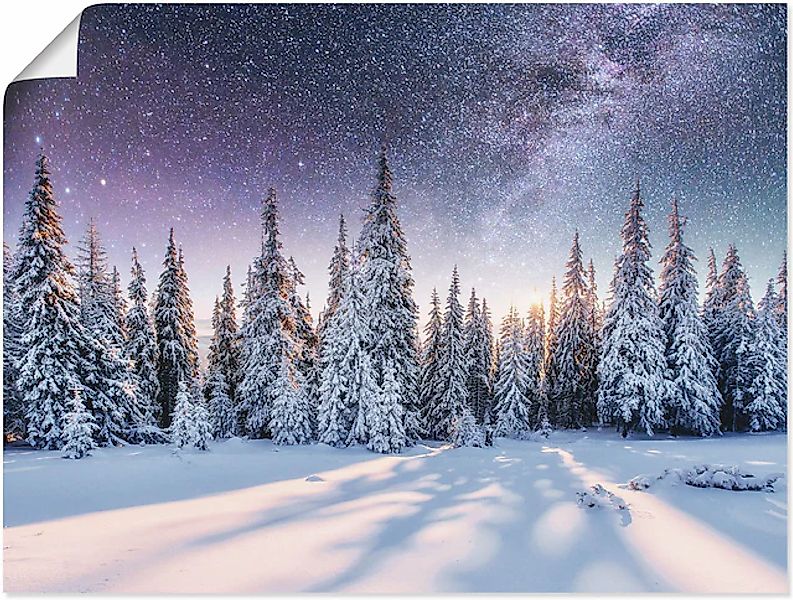 Artland Wandbild »Tannenwald im Schnee vorm Sternenhimmel« Berge & Alpenbil günstig online kaufen