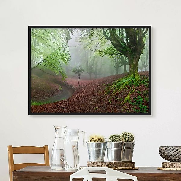 Bild mit Rahmen Natur & Landschaft - Querformat Der Wald Marvillador günstig online kaufen