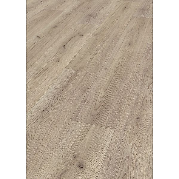 Jangal Laminatboden Oak National Park Line Plus Soil günstig online kaufen