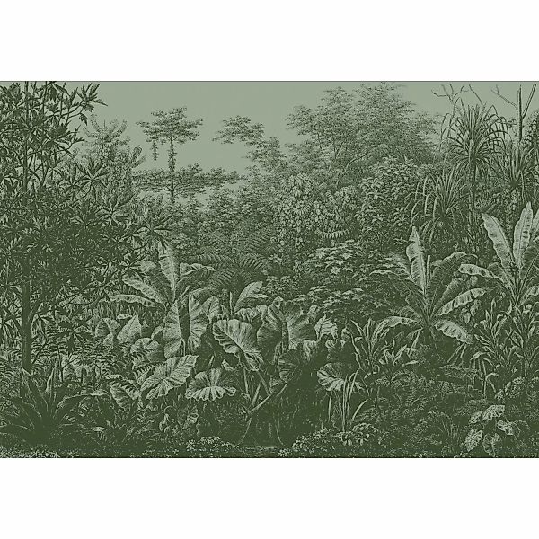LOOKS by Wolfgang Joop Fototapete Vlies Rainforest Grün 2,7 m x 3,5 m FSC® günstig online kaufen