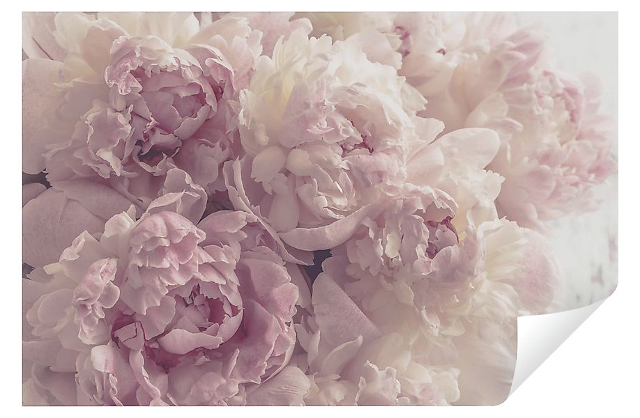 Wallarena Vliestapete Blumen Rosen Wohnzimmer Schlafzimmer günstig online kaufen