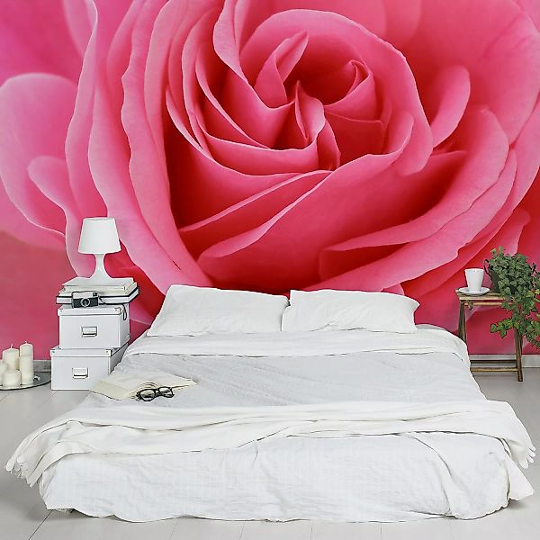 home24 Vliestapete Lustful Pink Rose günstig online kaufen