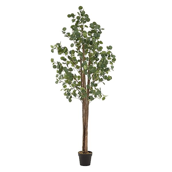 ML-Design Künstliche Eukalyptus 210cm Groß Kunstpflanze Naturholzstamm günstig online kaufen