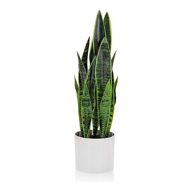Kunstpflanze Kunstpflanze SANSEVIERIA Kunststoff, Stoff Schlangenpflanze, h günstig online kaufen