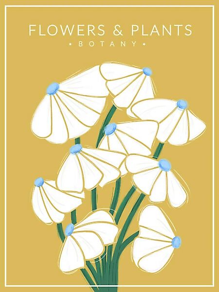 Poster / Leinwandbild - White Flowers - Botany No2 günstig online kaufen