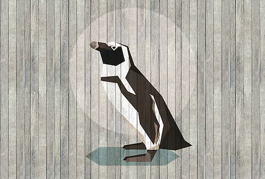 living walls Fototapete »Walls by Patel Born To Be Wild 4« glatt Vlies, Wan günstig online kaufen