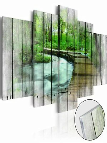 artgeist Acrylglasbild Forest of Secrets [Glass] mehrfarbig Gr. 200 x 100 günstig online kaufen