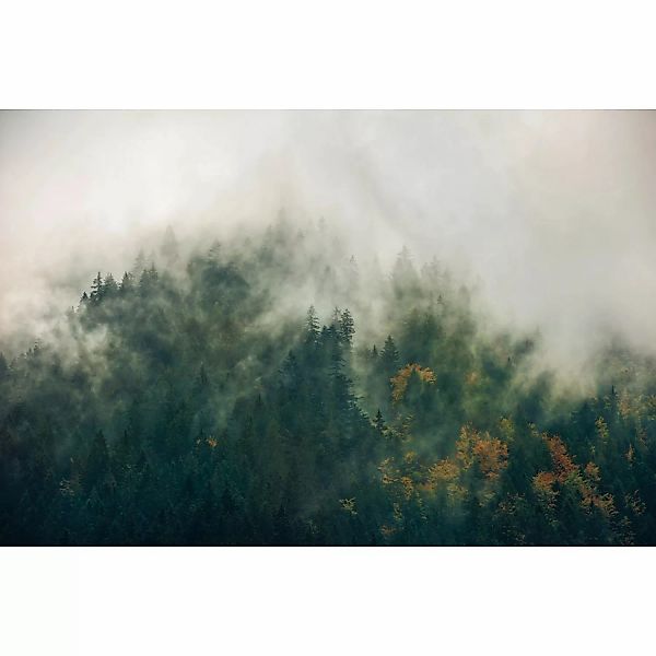 Komar Fototapete Vlies Tales of the Carpathians  300 x 200 cm günstig online kaufen