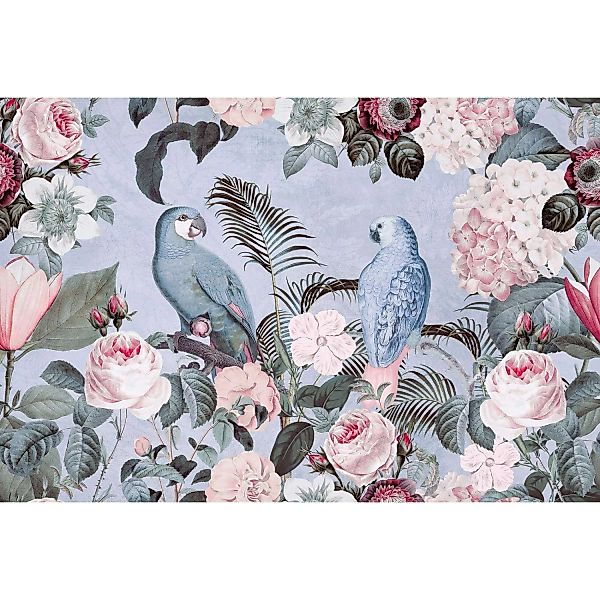 Fototapete Floral Blumen Vögel Blau Weiß Rosa Rot 4,00 m x 2,70 m FSC® günstig online kaufen