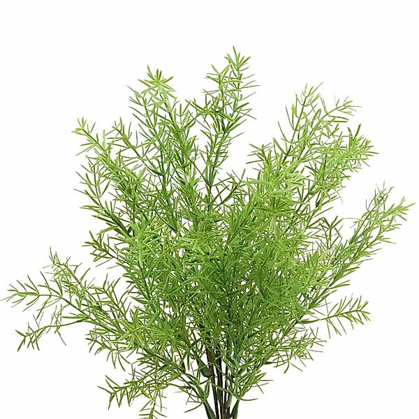 Künstliche Zimmerpflanze Asparagus Zierspargel künstlich Dekopflanze günstig online kaufen