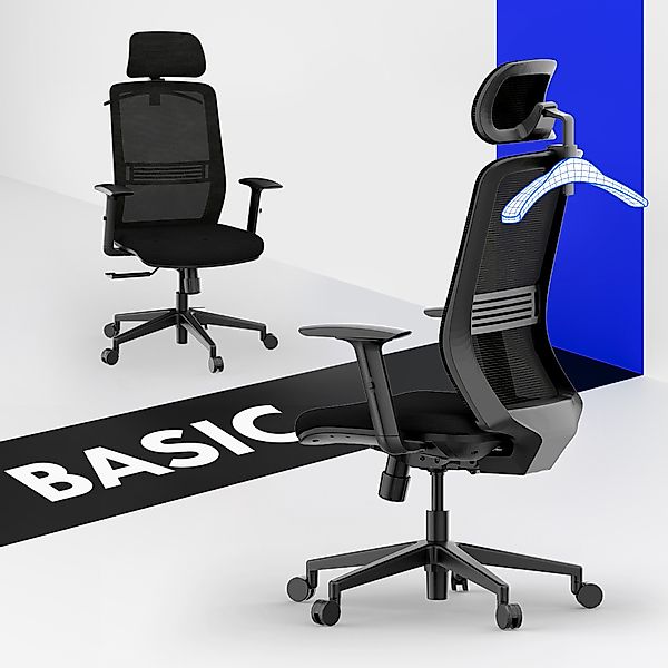 FLEXISPOT Bürostuhl Ergonomischer Schreibtischstuhl (verstellbare Rückenleh günstig online kaufen